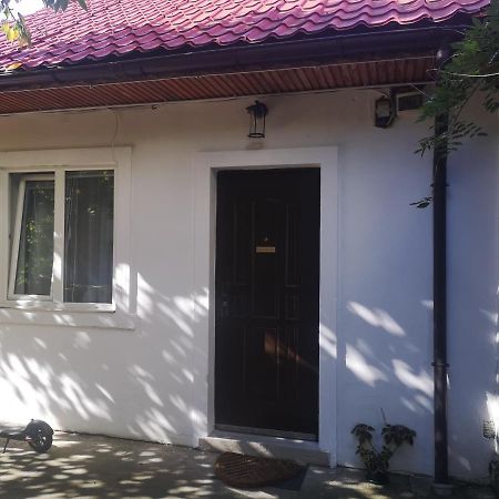 Casa Miron Unirii 3Strada Matei Corvin Apartament Temesvár Kültér fotó